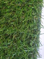 gazon altron rotated