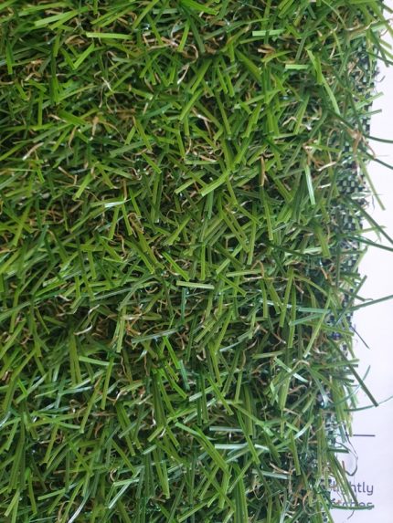 gazon altron rotated