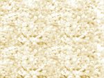 767 HAMILTON 12 CREAM SAMPLE