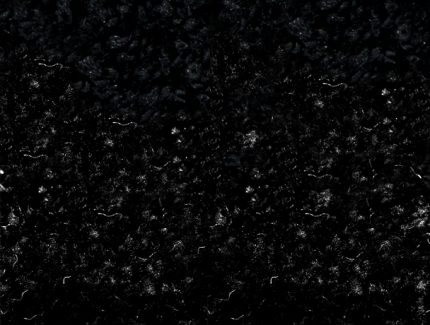 767 HAMILTON 35 BLACK SAMPLE