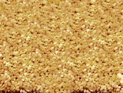 767 HAMILTON 39 GOLD SAMPLE