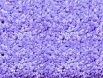 767 HAMILTON 74 VIOLET SAMPLE