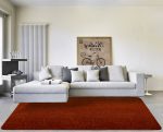 HAMILTON RUG ROOM CLAY scaled