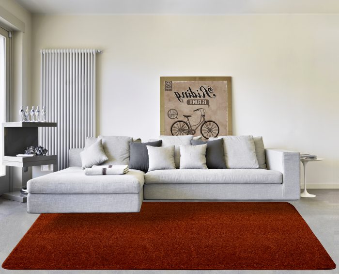 HAMILTON RUG ROOM CLAY scaled