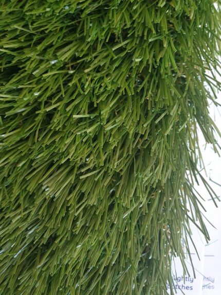 gazon easter rotated