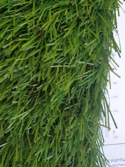 gazon elvetia rotated